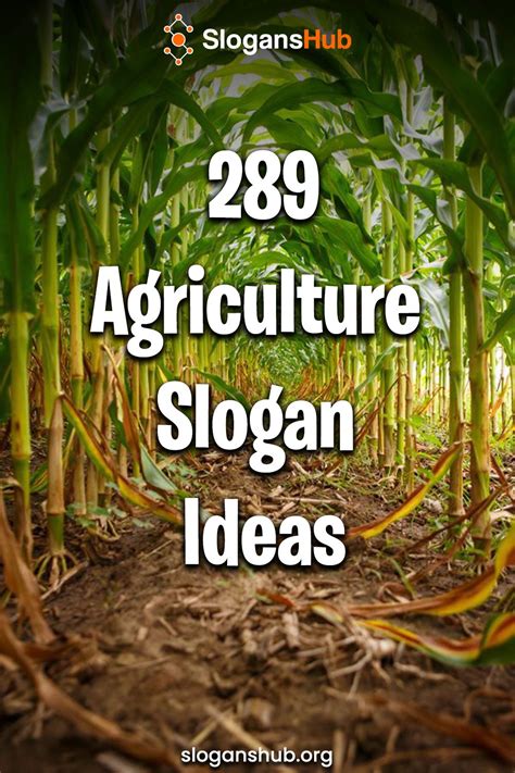 poster slogan agrikultura|849 Catchy Agriculture Slogans & Best Agriculture Slogan Tagalog.